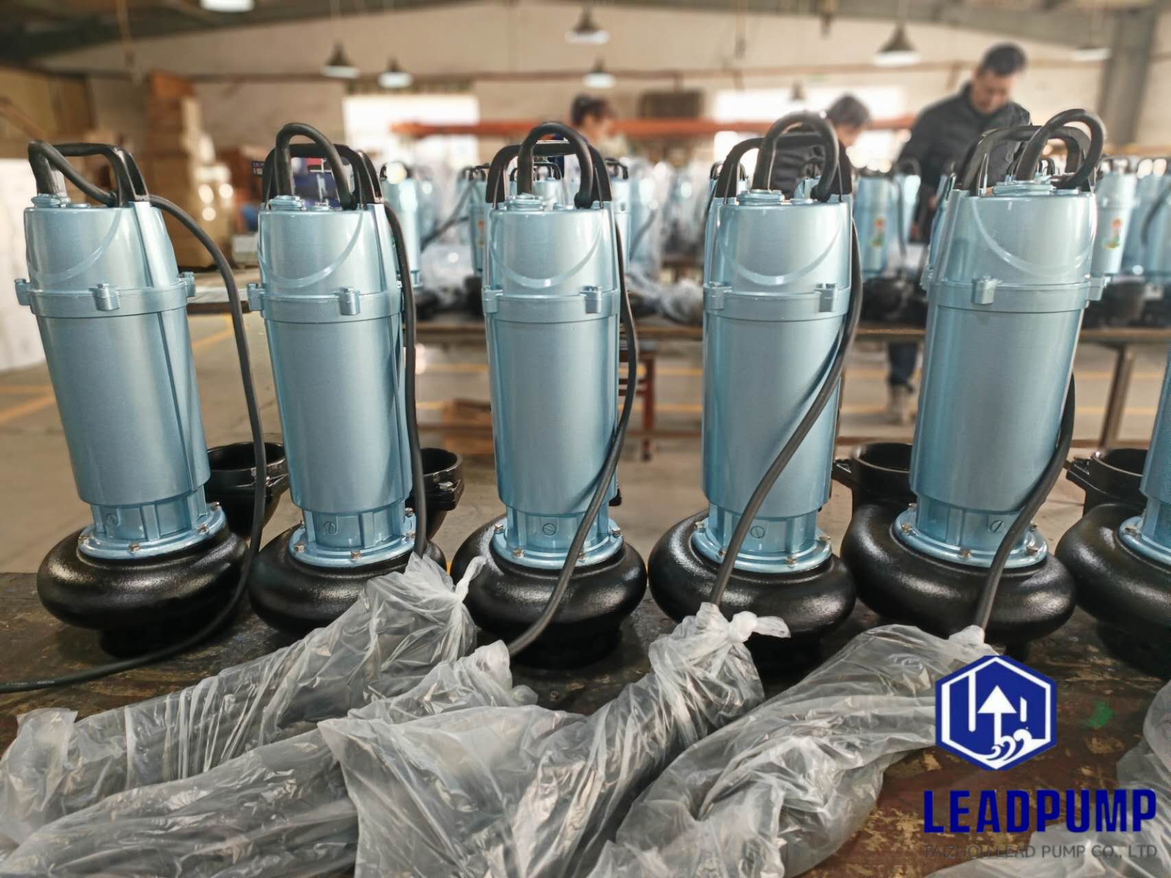 Taizhou Lead Pump Co., Ltd ολοκληρώνει την παραγωγή νέων υποβρύχιων αντλιών για έναν πελάτη της Μέσης Ανατολής