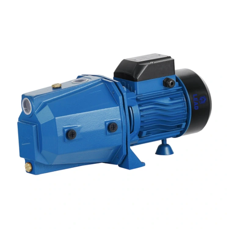 Jet-D Cast Iron Head Self Priming Pump